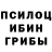 Псилоцибиновые грибы Cubensis Mr. BHARGAVA
