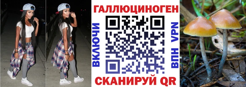 Галлюциногенные грибы Cubensis  Мантурово 